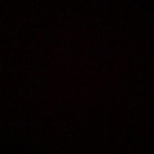 Meet your Posher, Gavin